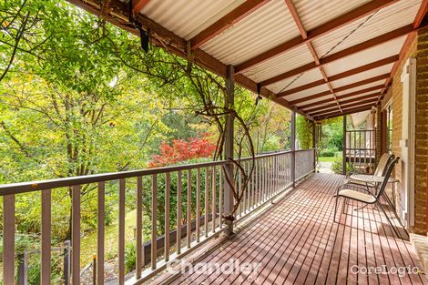 Property photo of 6 Tavistock Road Monbulk VIC 3793