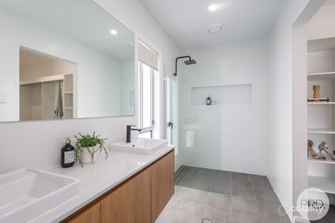 Property photo of 12 Macadamia Circuit Medowie NSW 2318