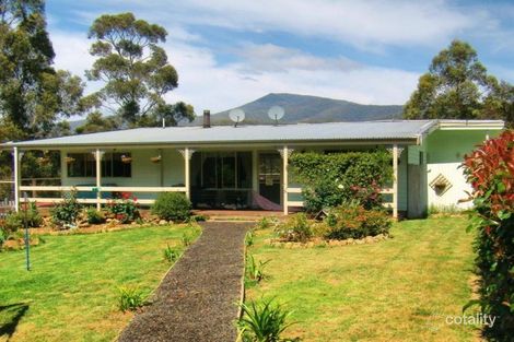 1670 The Snake Trk, Towamba, NSW 2550