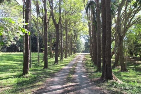 Property photo of 379 Pearces Creek Road Alstonvale NSW 2477