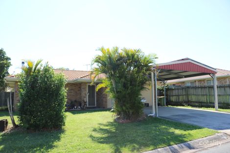 Property photo of 3 Palm Avenue Raceview QLD 4305