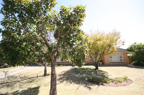 24 Montana Dr, Novar Gardens, SA 5040
