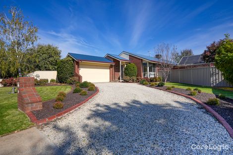 Property photo of 19 Menzies Crescent Shepparton VIC 3630