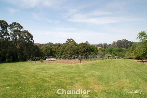 Property photo of 11 Tavistock Road Monbulk VIC 3793