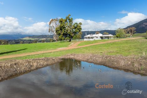 Property photo of 280 Settlement Road Tintaldra VIC 3708