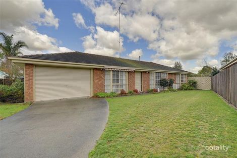 1 Ibis Ct, Traralgon, VIC 3844