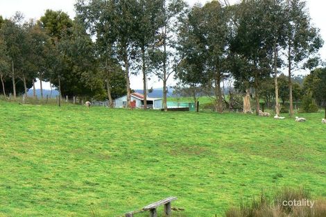 Property photo of 40 Dehnerts Track Beech Forest VIC 3237