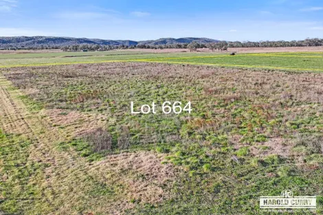 Property photo of 970 Bruxner Way Tenterfield NSW 2372