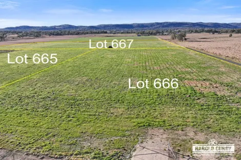 Property photo of 970 Bruxner Way Tenterfield NSW 2372