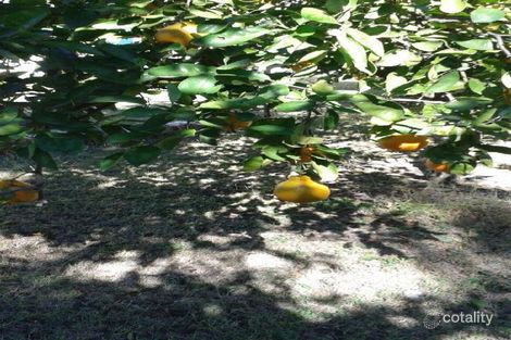 Property photo of 127 Goanna Flats Road Rubyvale QLD 4702