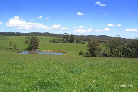 419 Murfitts Rd, Scotts Creek, VIC 3267