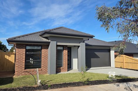 10 Messmate Mews, Lucknow, VIC 3875
