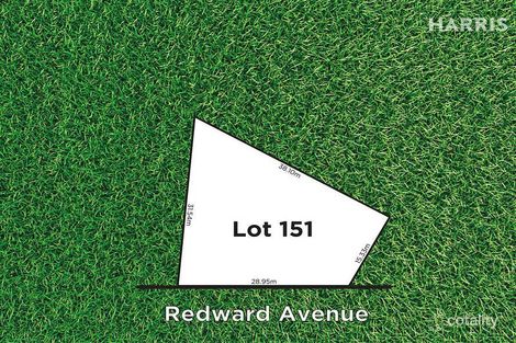 Property photo of 48 Redward Avenue Lightsview SA 5085