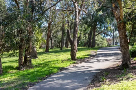 Property photo of 7 Ferris Avenue Mitcham VIC 3132