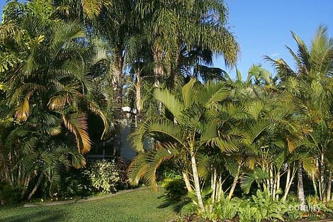 6 Hamish Ave, Rasmussen, QLD 4815