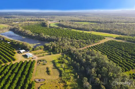 Lot 188 Reads Rd, Avondale, QLD 4670