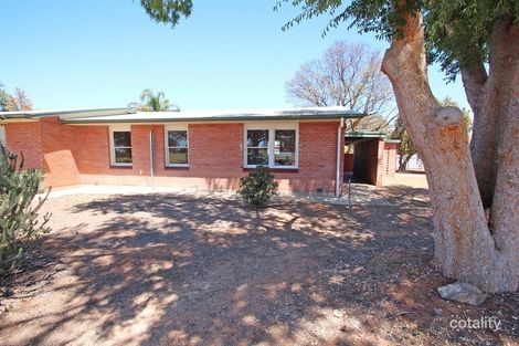 Property photo of 17 Myrtle Street Renmark SA 5341