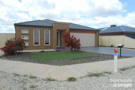 Property photo of 12 Westminster Avenue Shepparton VIC 3630