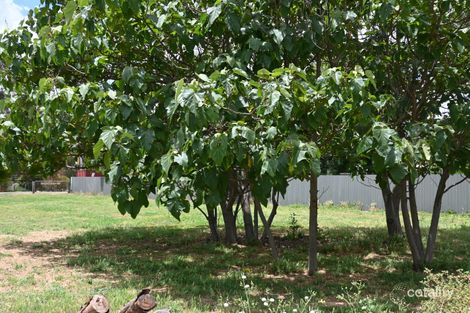 41 Burke St, Newbridge, VIC 3551