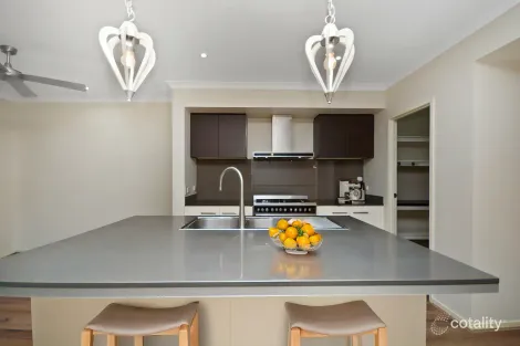 Property photo of 34 Daydream Crescent Springfield Lakes QLD 4300