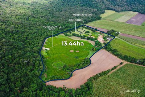 Property photo of 445 Gray Road Green Hill QLD 4865