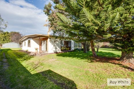 Property photo of 17 Daly Avenue Rye VIC 3941