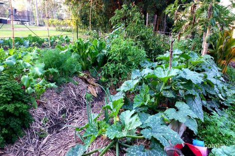 Property photo of 11 Scott Thomas Drive Sexton QLD 4570