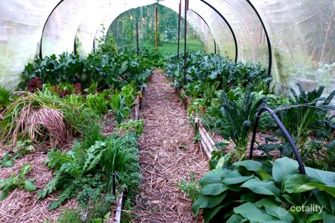 Property photo of 11 Scott Thomas Drive Sexton QLD 4570