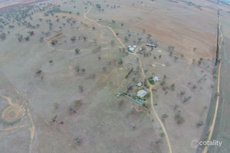 61 Dobsons Lane, Winton, NSW 2344