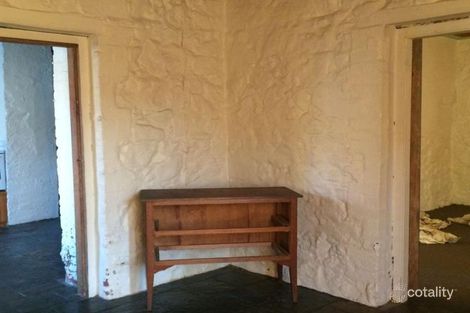 Property photo of 7 Twining Street Launceston TAS 7250