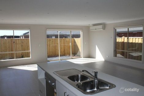 Property photo of 43 Woolybush Drive Tarneit VIC 3029