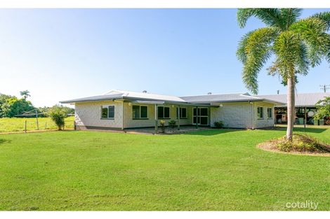 1746 Mossman-Daintree Rd, Wonga Beach, QLD 4873