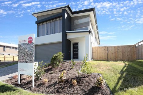 8 Falcon Cct, Springfield Lakes, QLD 4300