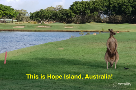 Property photo of 8342 Magnolia Drive East Hope Island QLD 4212