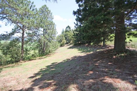 Property photo of 219 Hulls Road Crabbes Creek NSW 2483