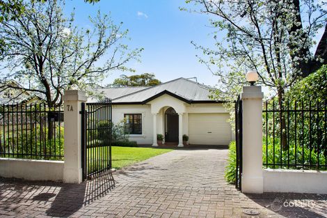 7a Dalaston Ave, Glenunga, SA 5064