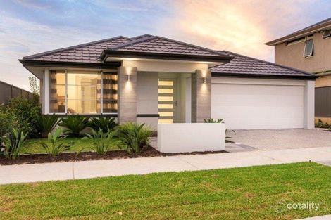 43 Lancewood St, Banksia Grove, WA 6031