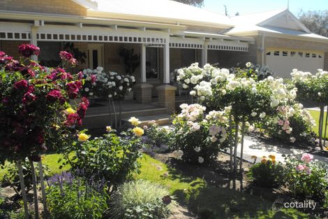 24 Klaehn Cres, Yalyalup, WA 6280