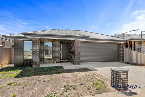 41 Spoonbill Ave, Winter Valley, VIC 3358