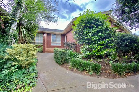 6/36-38 Osborne Ave, Glen Iris, VIC 3146