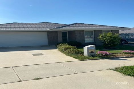 Property photo of 41 Carman Loop Macgregor ACT 2615