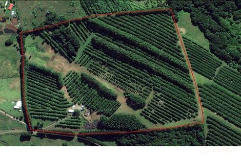Property photo of 610 Houghlahans Creek Road Pearces Creek NSW 2477
