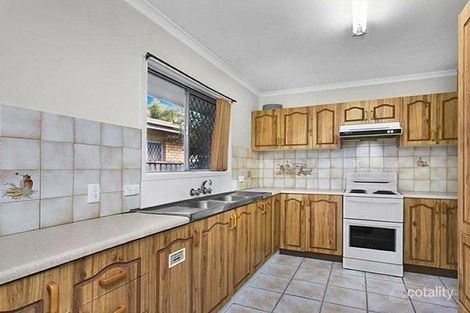 Property photo of 109 Leyte Avenue Palm Beach QLD 4221
