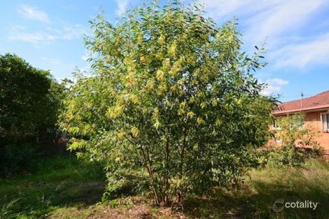 22 Goodwin Tce, Moorooka, QLD 4105