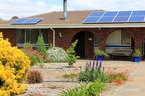 7 Costelloe St, Wagin, WA 6315