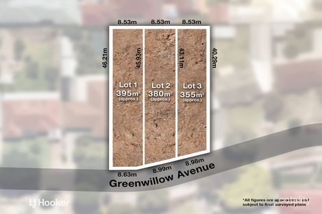 5 Greenwillow Ave, Paradise, SA 5075