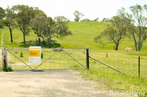 Property photo of 75 Crowe Road Young NSW 2594