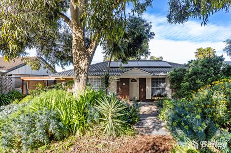 Property photo of 15 Hilltop Avenue Ridgehaven SA 5097