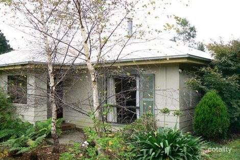 Property photo of 67 Main Road Beech Forest VIC 3237