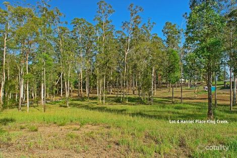 10 Harriet Pl, King Creek, NSW 2446